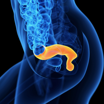 AREA ELIMINAZIONE INTESTINALE